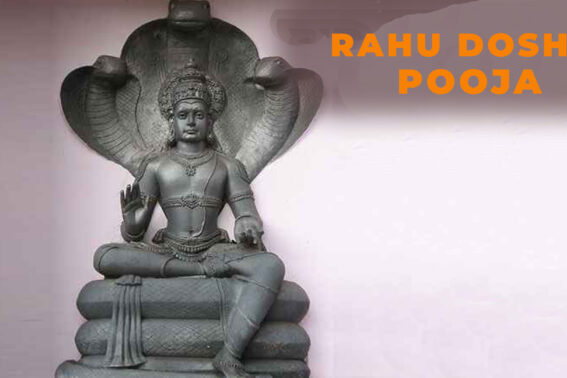 Rahu Dosha Pooja